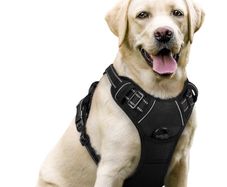 Large Dog No Pull Pet Harness with 2 Leash Clips, Adjustable Soft Padded Pet Vest Harness, Reflective No-Choke with Easy Control Handle for Training or Walking, Black, L