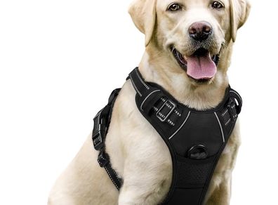 Large Dog No Pull Pet Harness with 2 Leash Clips, Adjustable Soft Padded Pet Vest Harness, Reflective No-Choke with Easy Control Handle for Training or Walking, Black, L