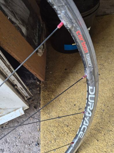 Pagini frameset and carbon wheels .