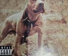 DMX - Grand Champ.
