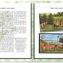 2008 Jersey (Channel Islands) Stamp Year Book (softback) issued by Jersey Post with 20 images of contents Image 9