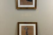Framed Fashion Illustrations