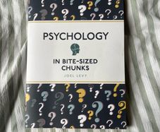 Psychology in bite-sized chunks book