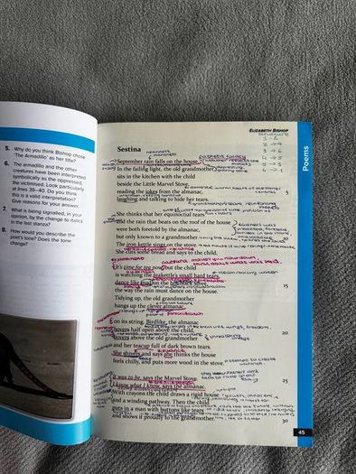 Poetry Now leaving certificate poetry book
