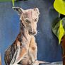 #2 Spanish Greyhound / Galgo Espaniol / oil painting on canvas panel Image 8