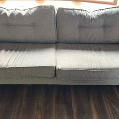 Gray fabric sofa AE