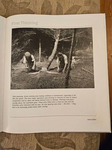 Forest Images. Fr Browne's Woodland Photographs From Emo Court Co Laois. Fabolous FIRST EDITION Large Volume Hardback In Good Condition.  See Photos For Same.