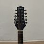 10 String Mandolin Image 3