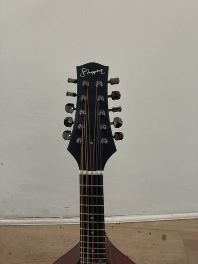 10 String Mandolin