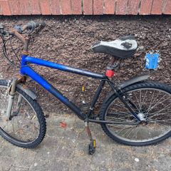 Rusty Bike, Adult Medium