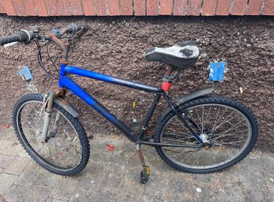 Rusty Bike, Adult Medium