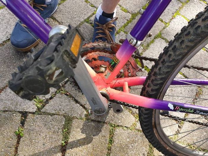 Raleigh Moonshine MTB