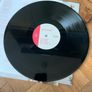 Anna Burch - Quit The Curse Vinyl Record LP Image 4