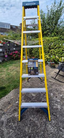 Werner 8 thread Fibreglass Ladder