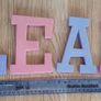 Large Pink & Purple Glitter Letters - Read Carefully Image 3