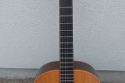 McIlroy A30 Acoustic Guitar with Pick Up and Hard Case