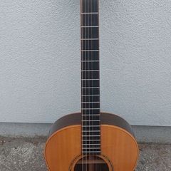 McIlroy A30 Acoustic Guitar with Pick Up and Hard Case