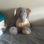 3 large teddy - free Image 4