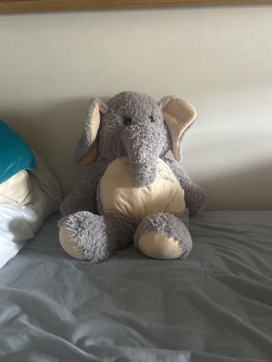 3 large teddy - free