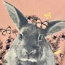 Girls Pink with Cute Bunny T-Shirt Age -10/11 (146cm) Image 5