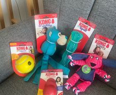 New Set of 5 KONG Dog Toys
