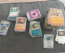 Pokemon Bulk