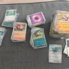 Pokemon Bulk