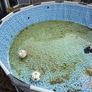 pool Image 3