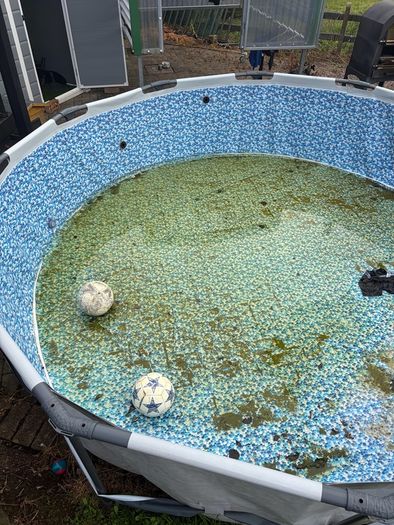 pool