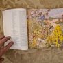 In Search Of Heathland By  Lee Chadwick. Image 7