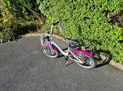 Girls 18" Bike