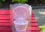 Cupcake Box