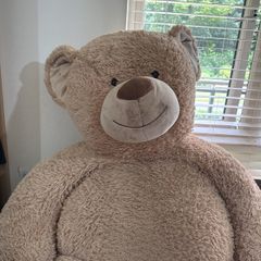 teddy