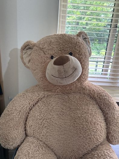 teddy