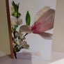 Box Image 7