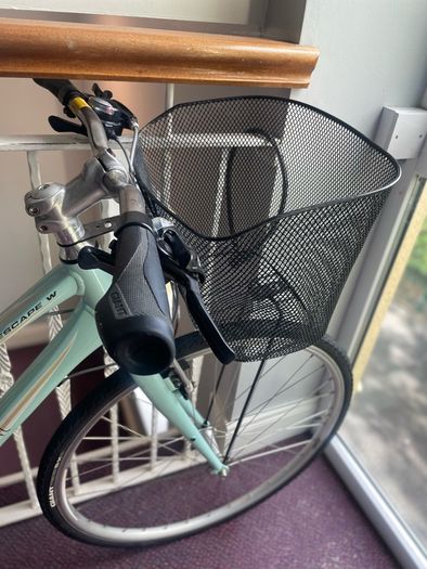 Giant escape ladies bike