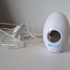 gro egg