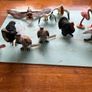 Schleich birds Image 2