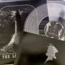 The Witch & The Lighthouse vinyl ost Image 3