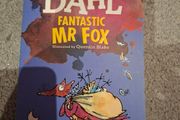 Roald Dahl Fantastic Mr Fox book