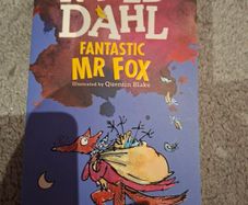 Roald Dahl Fantastic Mr Fox book