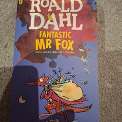 Roald Dahl Fantastic Mr Fox book