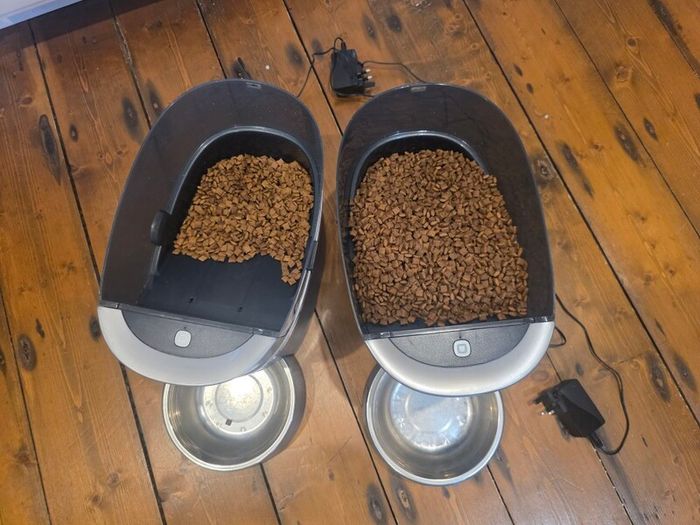PetSafe Automatic Pet Feeder