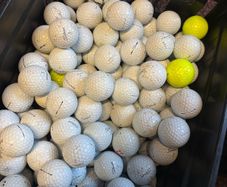 50 Titleist (Prov1) Golf Balls