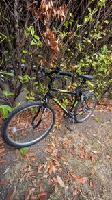 Indi ATB 1 Men's Mountain Bike