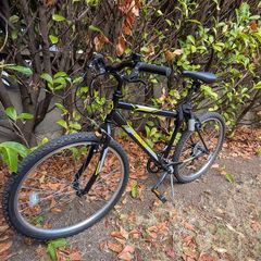 Indi ATB 1 Men's Mountain Bike