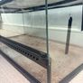 Lizard tank Image 8