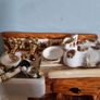 Rare Collectible Royal Albert 'Old Country Roses' Large Kitchen Sink Teapot by Cardew Design Image 3