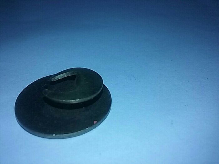 South Dorset hunt club button badge