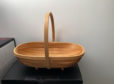 newborn photography basket